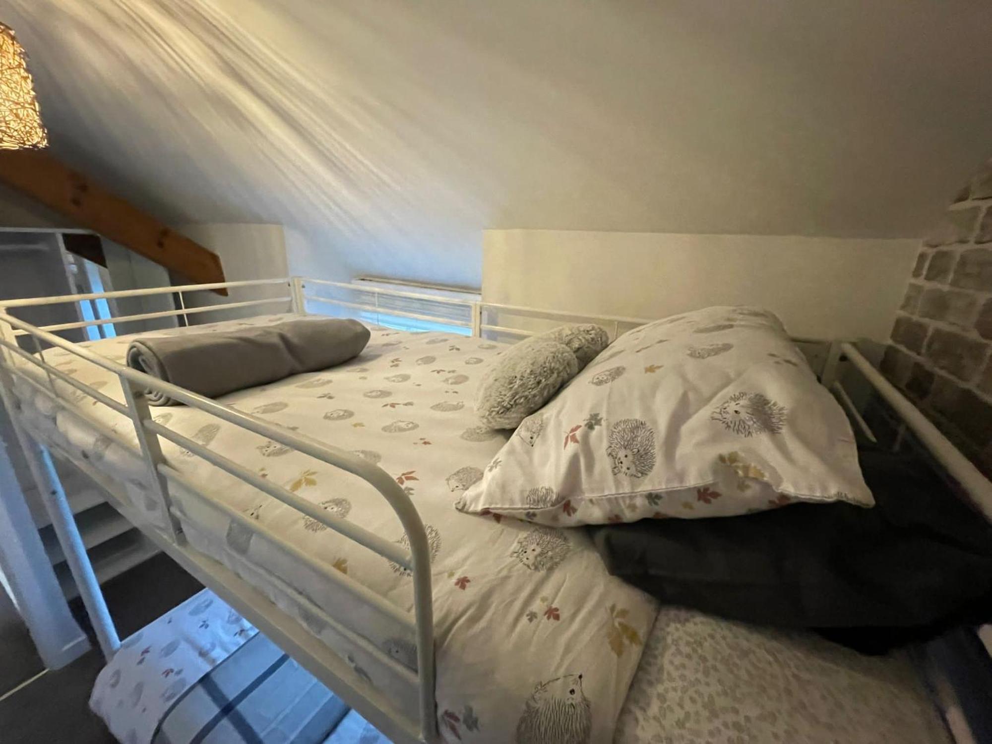 Cosy 2 Bedroom Cottage Llanuwchllyn Εξωτερικό φωτογραφία